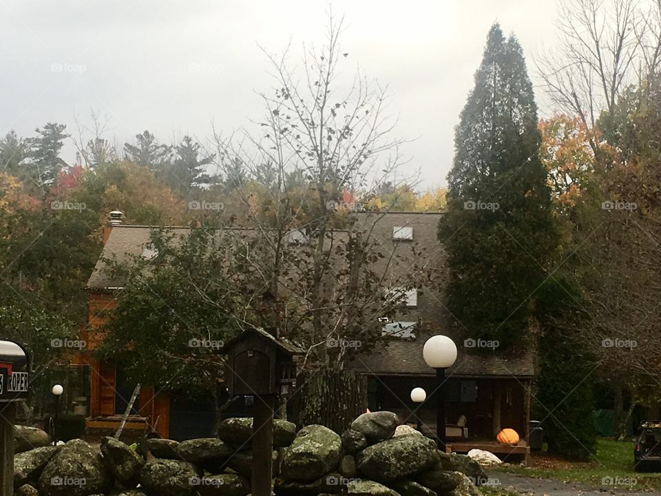 A tree runs through it