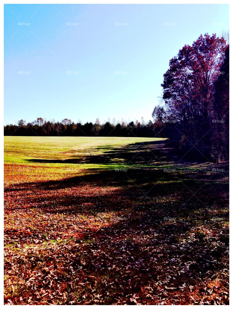 field shadows fall autumn by Rando7171