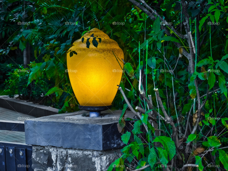 light natural verses artificial,  This is burning light lamp on gate.