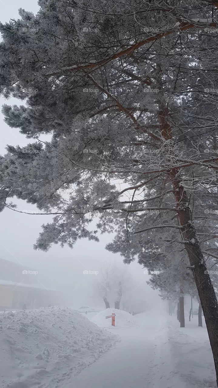 Russia