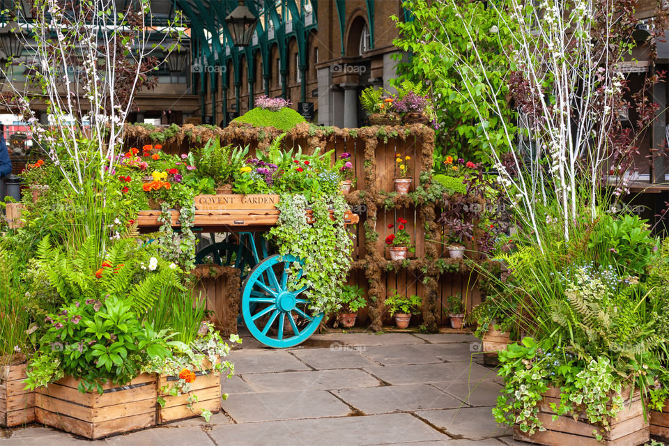 Flowers and plants. Covent Garden Market. London. UK.