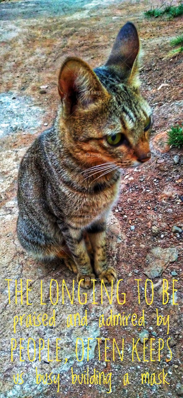 The longing to be praised and admired by people, often keeps us busy building a "mask"