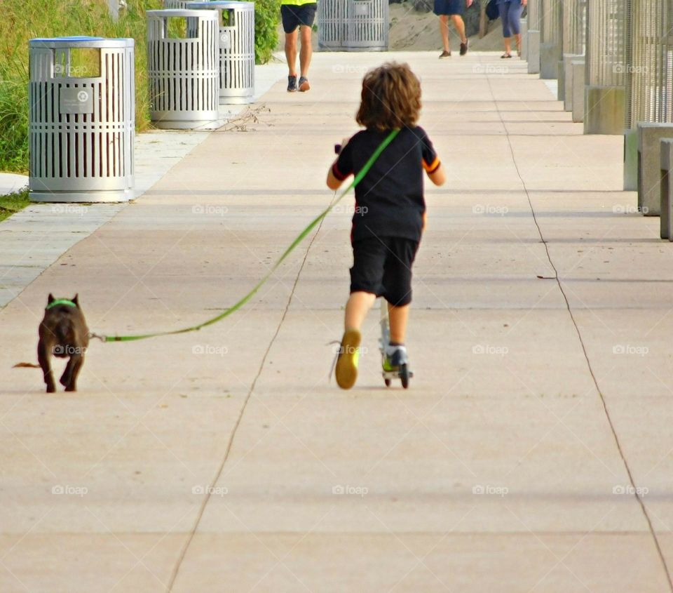 Dog owners enjoy numerous health and social benefits by walking their dog a few times a week. Benefits include improved cardiovascular fitness, lower blood pressure, stronger muscles and bones, built up by walking regularly), and decreased stress.