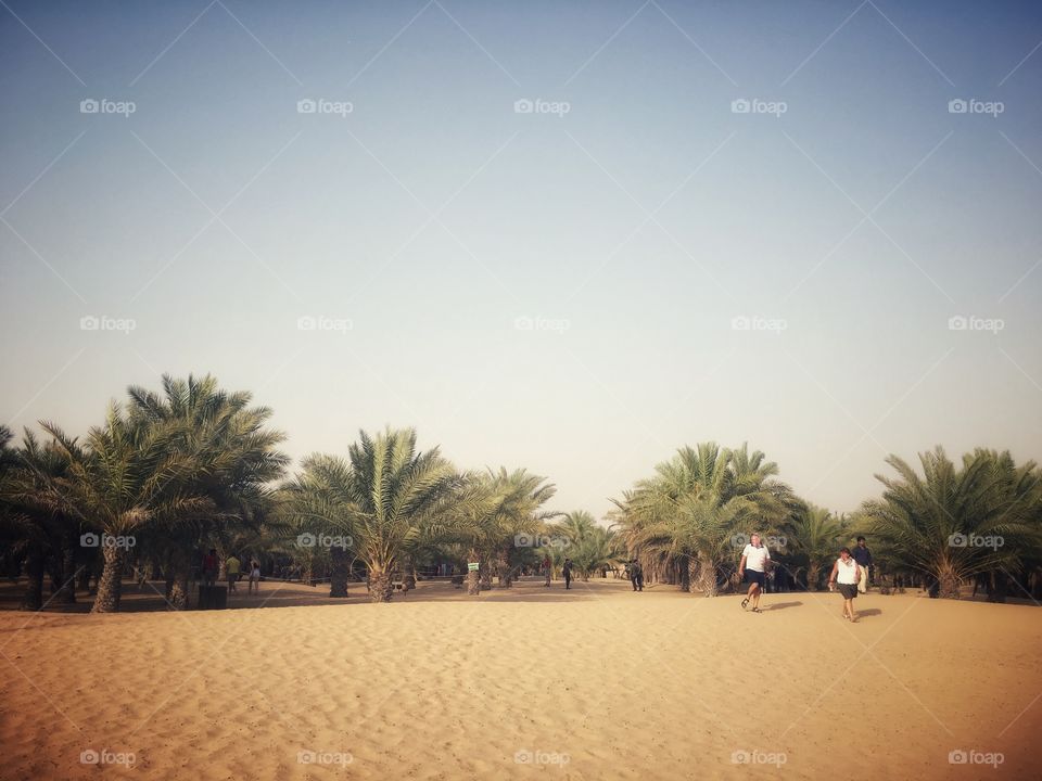 Dubai in the desert