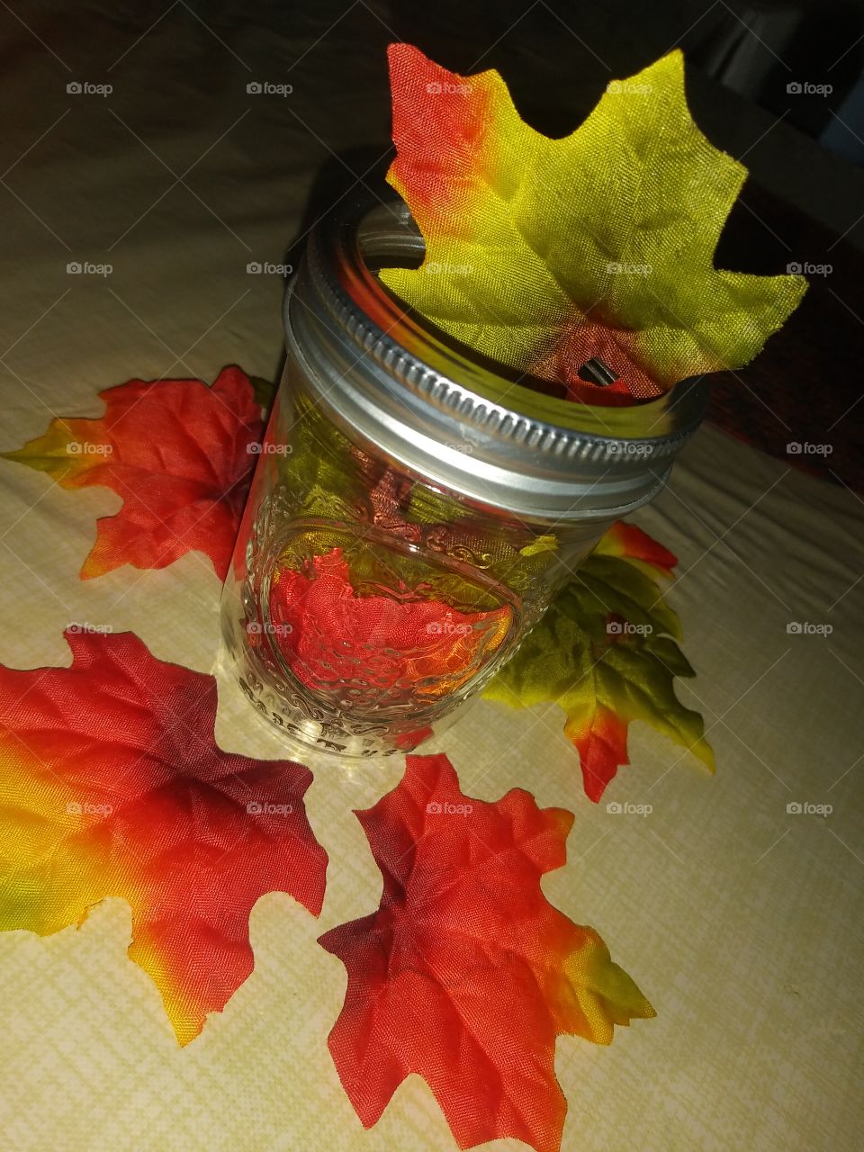 One of the beautiful Seasons!