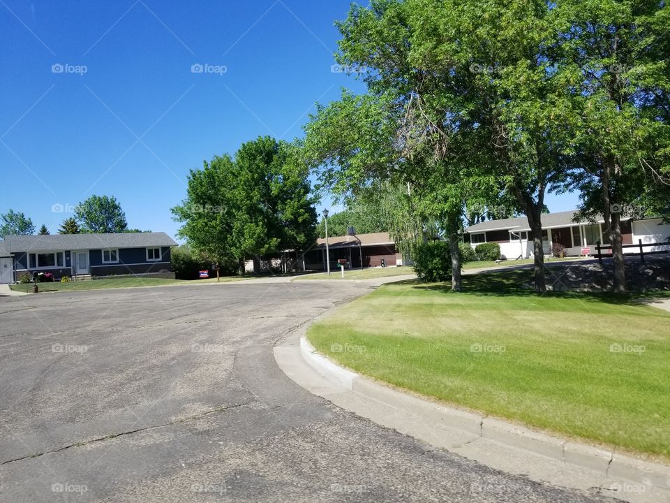 Road, Guidance, Lawn, No Person, Tree