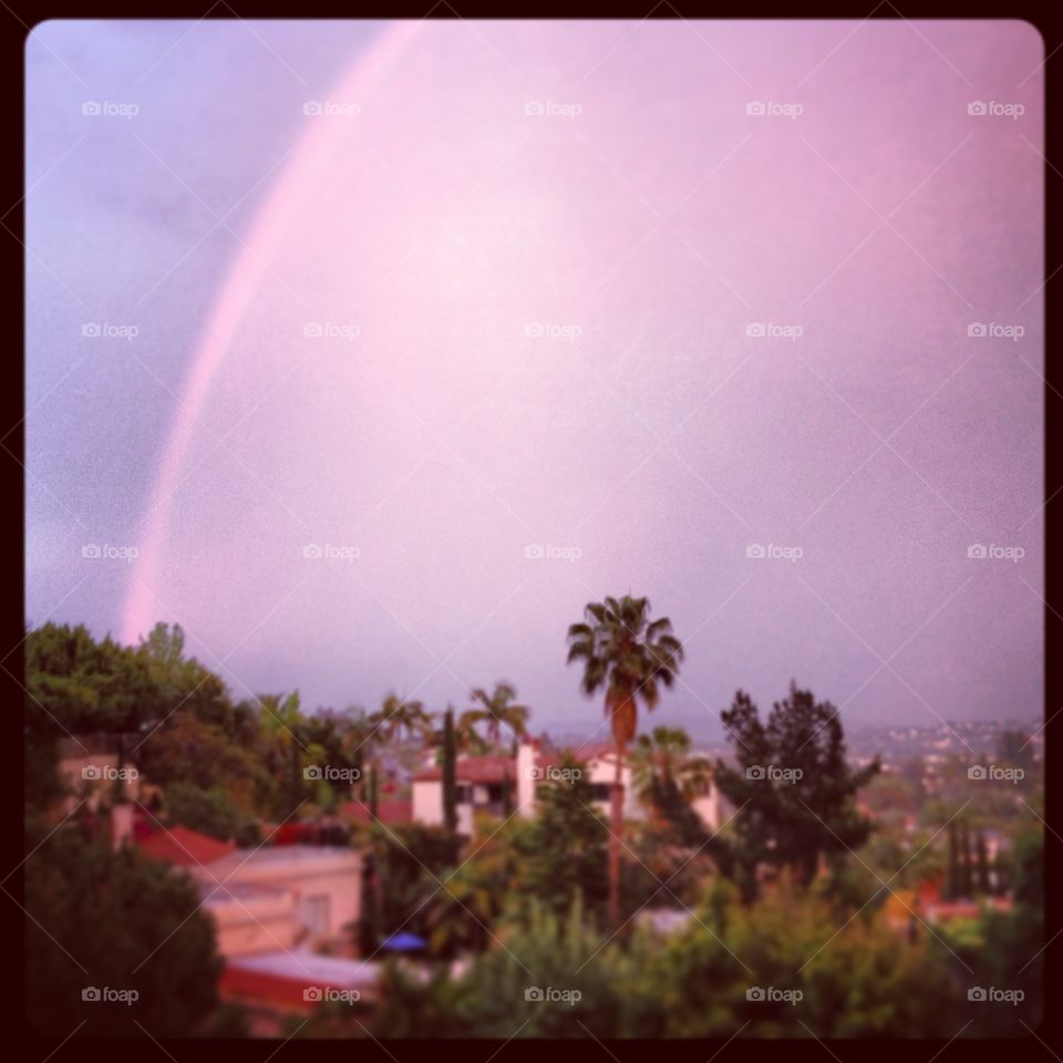 California rainbow