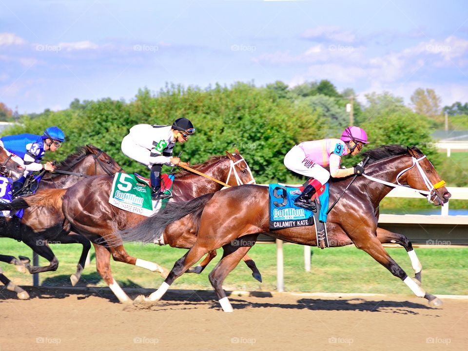 The Cotillion Stakes. Calamity Kate leads the best 3yr-old fillies into the first turn in the Cotillion stakes at Parx Racing.
Fleetphoto