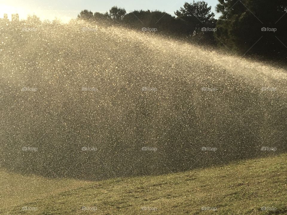 Drops of watering as a curtain in sunshine 