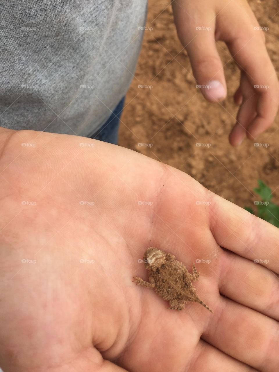 People, One, Agriculture, Child, Nature