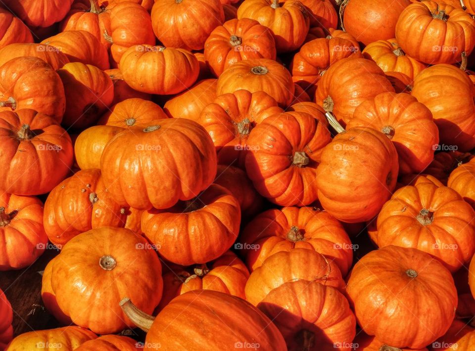 Bright Orange Pumpkins