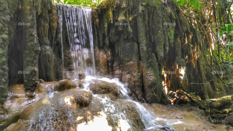 Erawan waterfall life of the nature