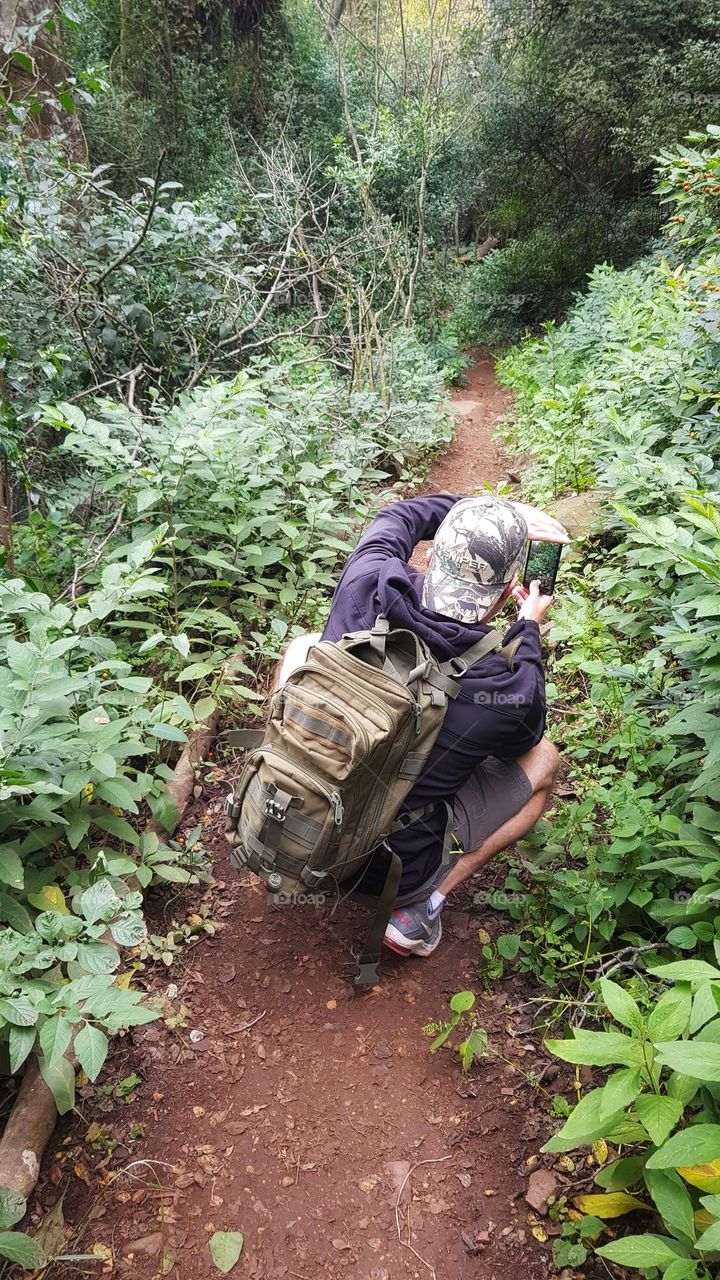 fellow foap user in the forest