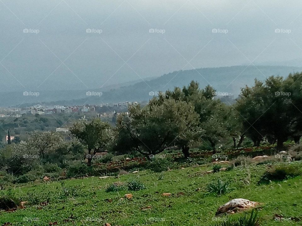 population between the nature