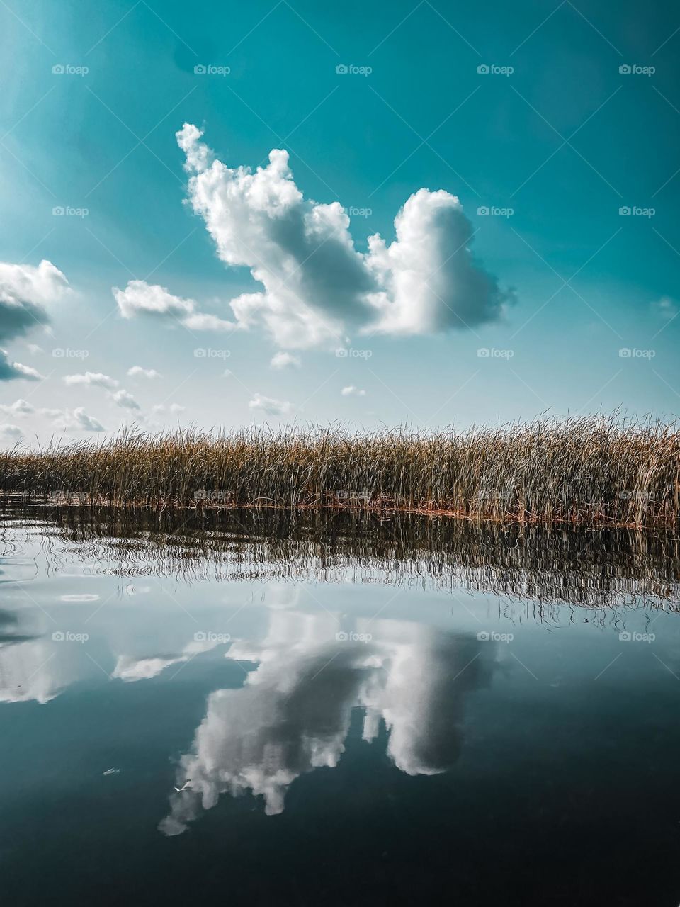 A dynamic cloud is perfectly reflected in the still smooth waters of the lake with reedy grasses filling in the center