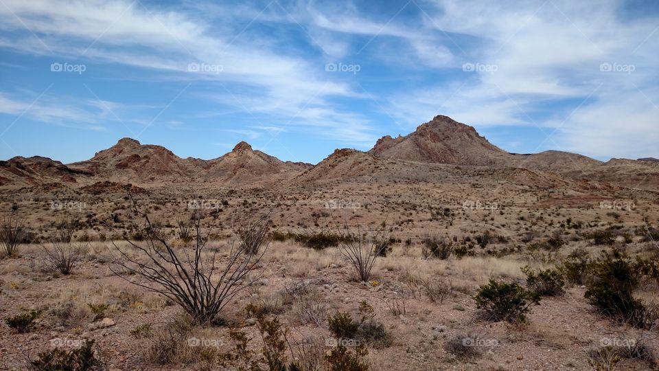 Big Bend National Park, TX