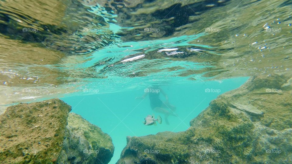 Beautiful colors of Bermuda’s Waters underwater 