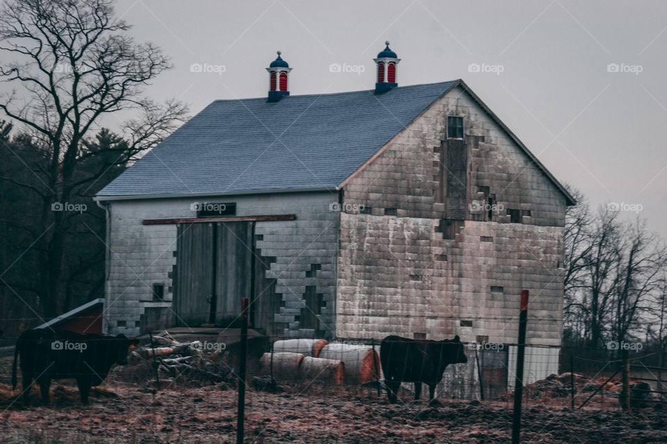 Old barn renovation 