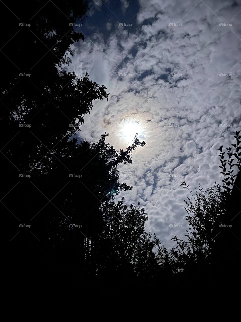 Sky covered with clouds