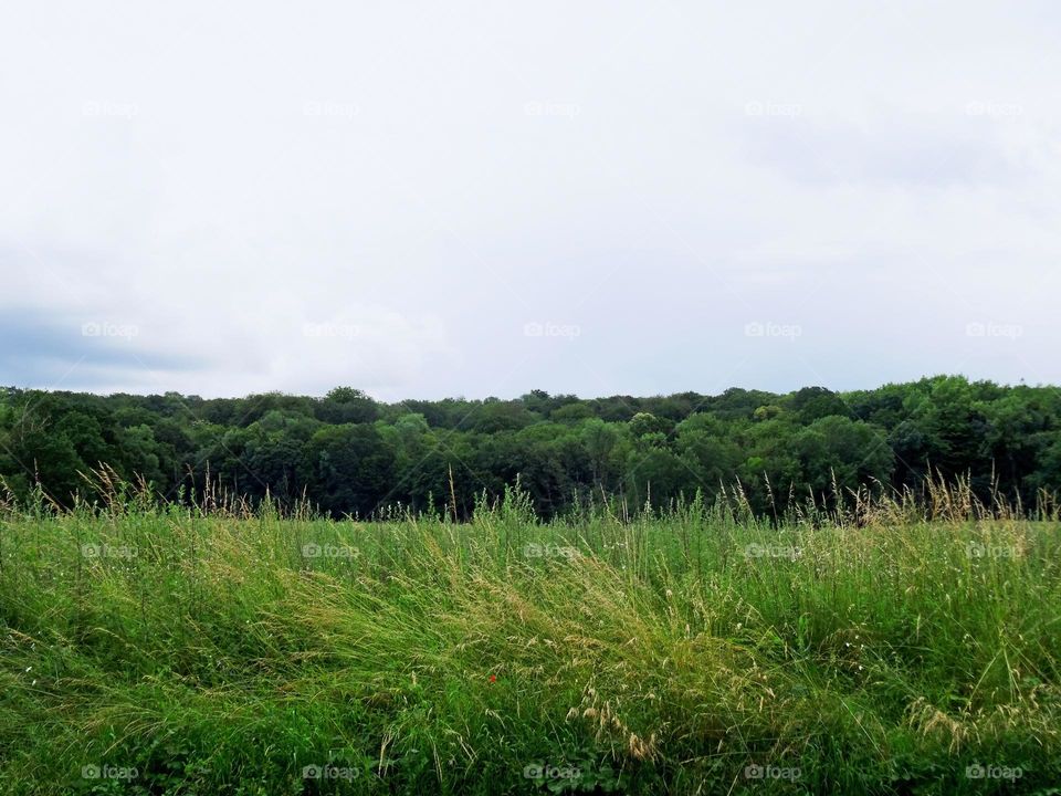 Authentique prairie ...authentic prairie