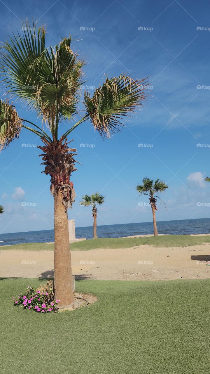 هدوء الطبيعه وسحر الشواطئ