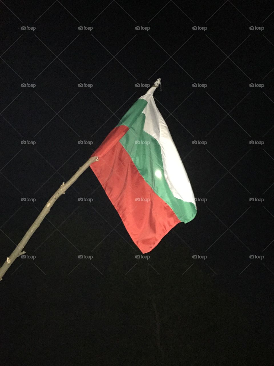 Bulgaria flag 