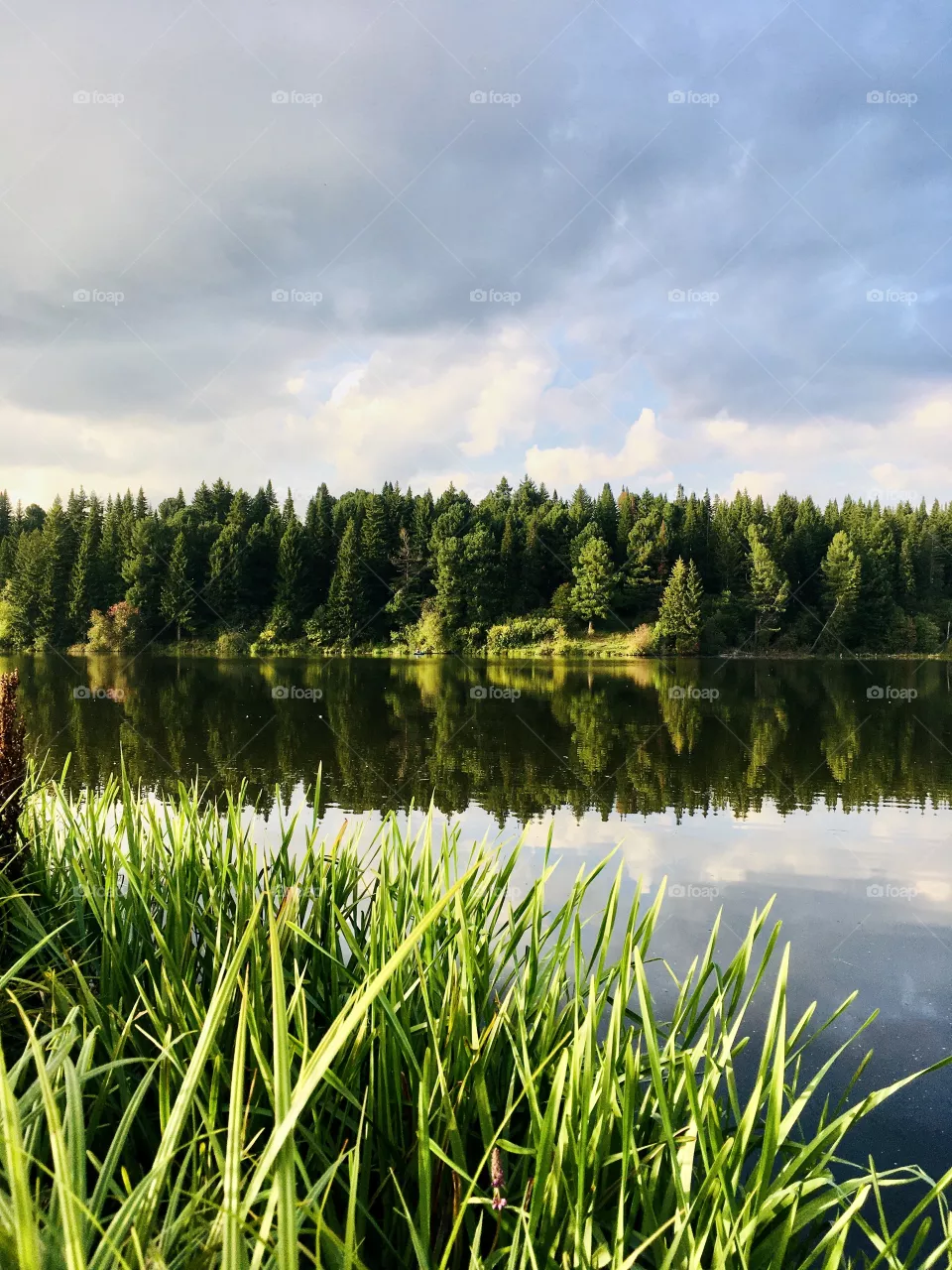 Nature 