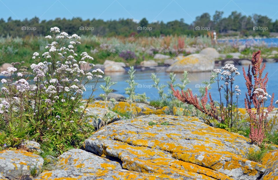 Sommar i Ronneby skärgård