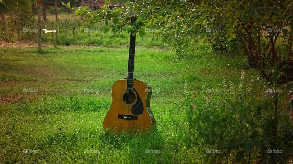 guitar in green grassfield. me and my song on nature, green grass