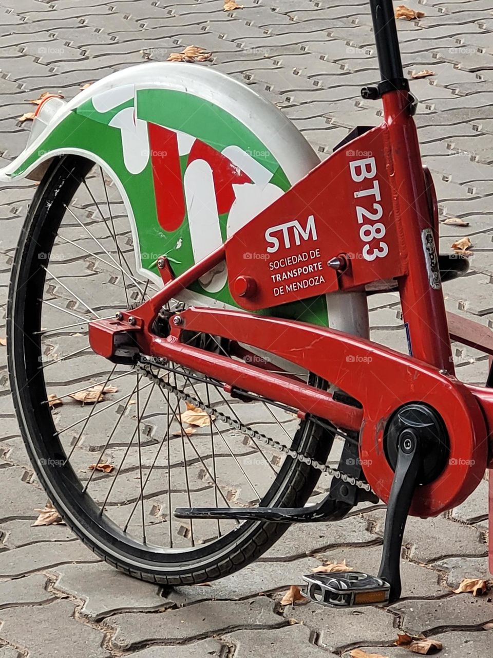 complementary colors