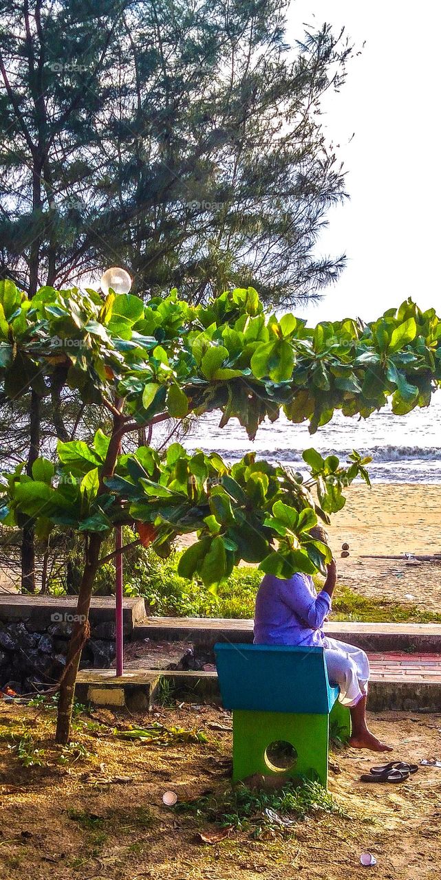 beautiful nature scenery