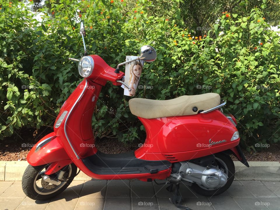 Moped on the narrow road