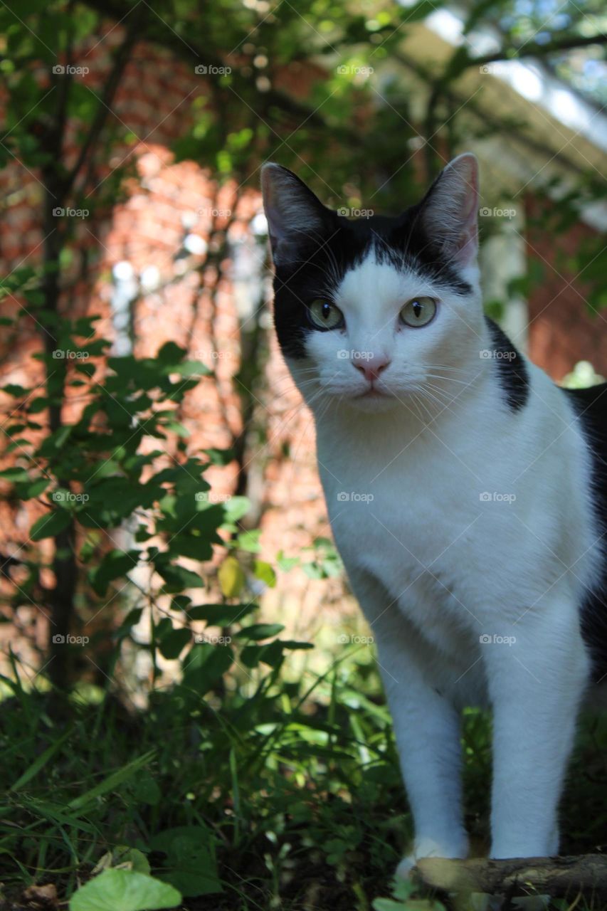 Prey lady look for bugs 