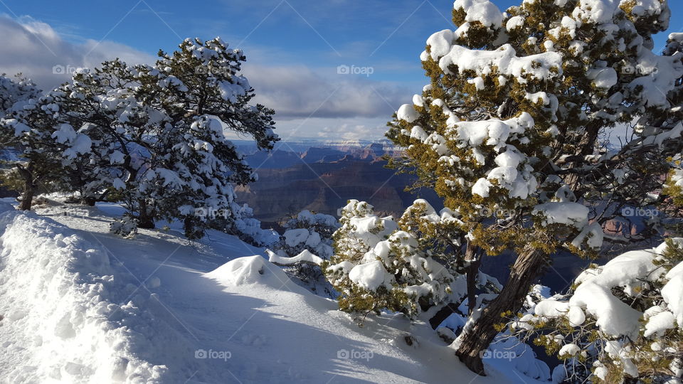 Snow at The Grand Canyon