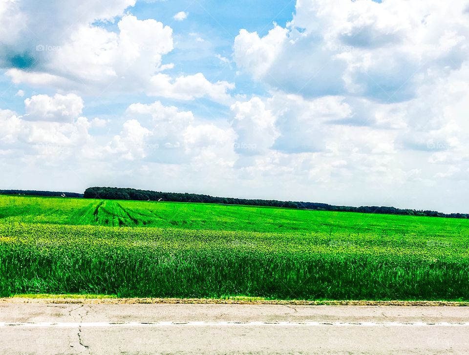 Farmland in the middle of nowhere in Ohio