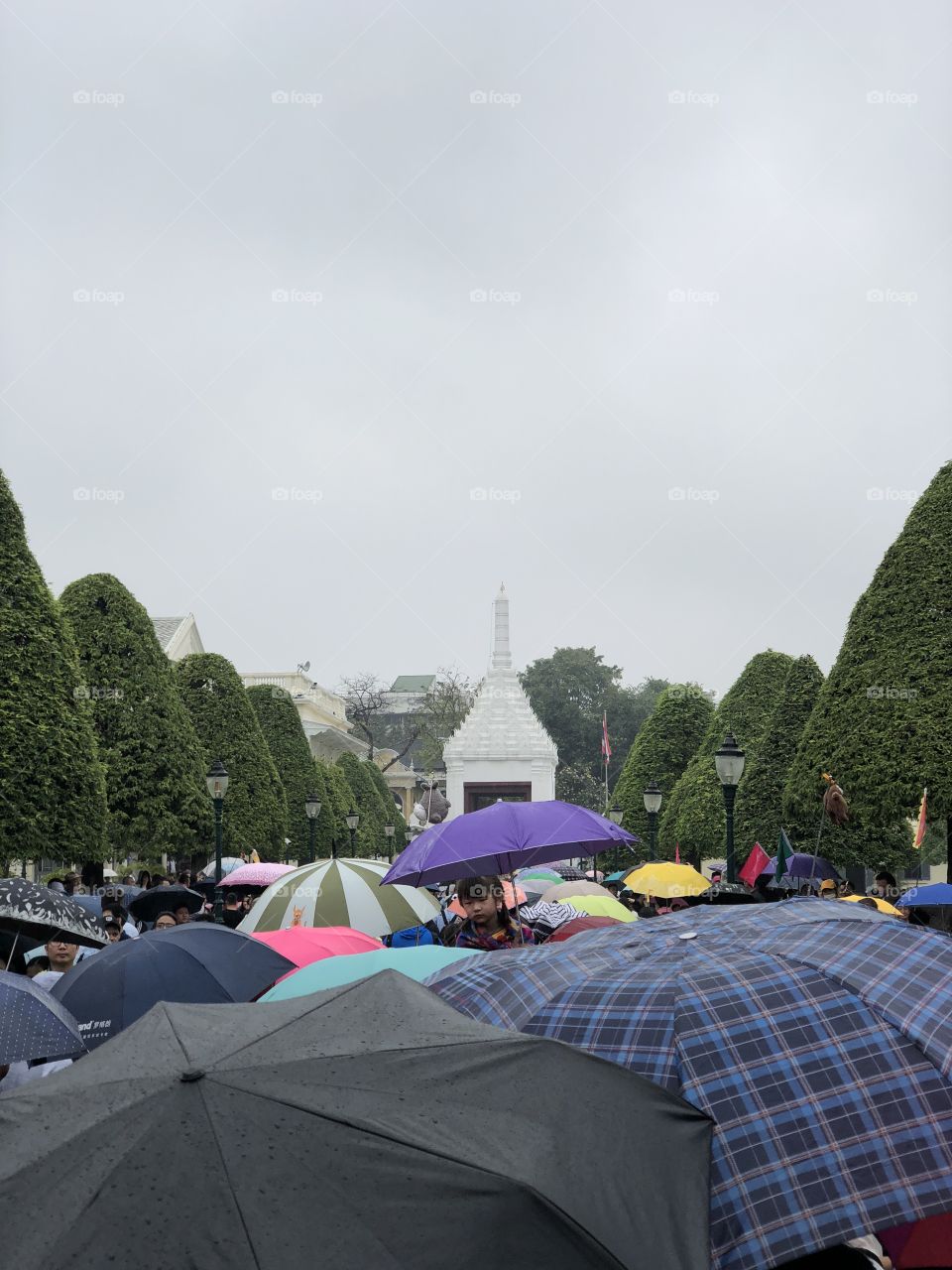 A sea of umbrellas 
