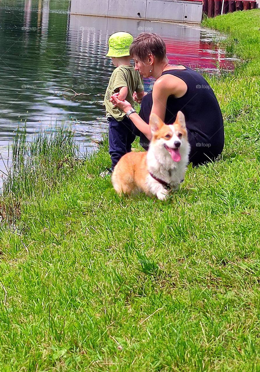 Owners and their dogs. A woman sits on the green bank of the river and examines the hand of a little boy who is standing. A dog runs merrily on the green grass