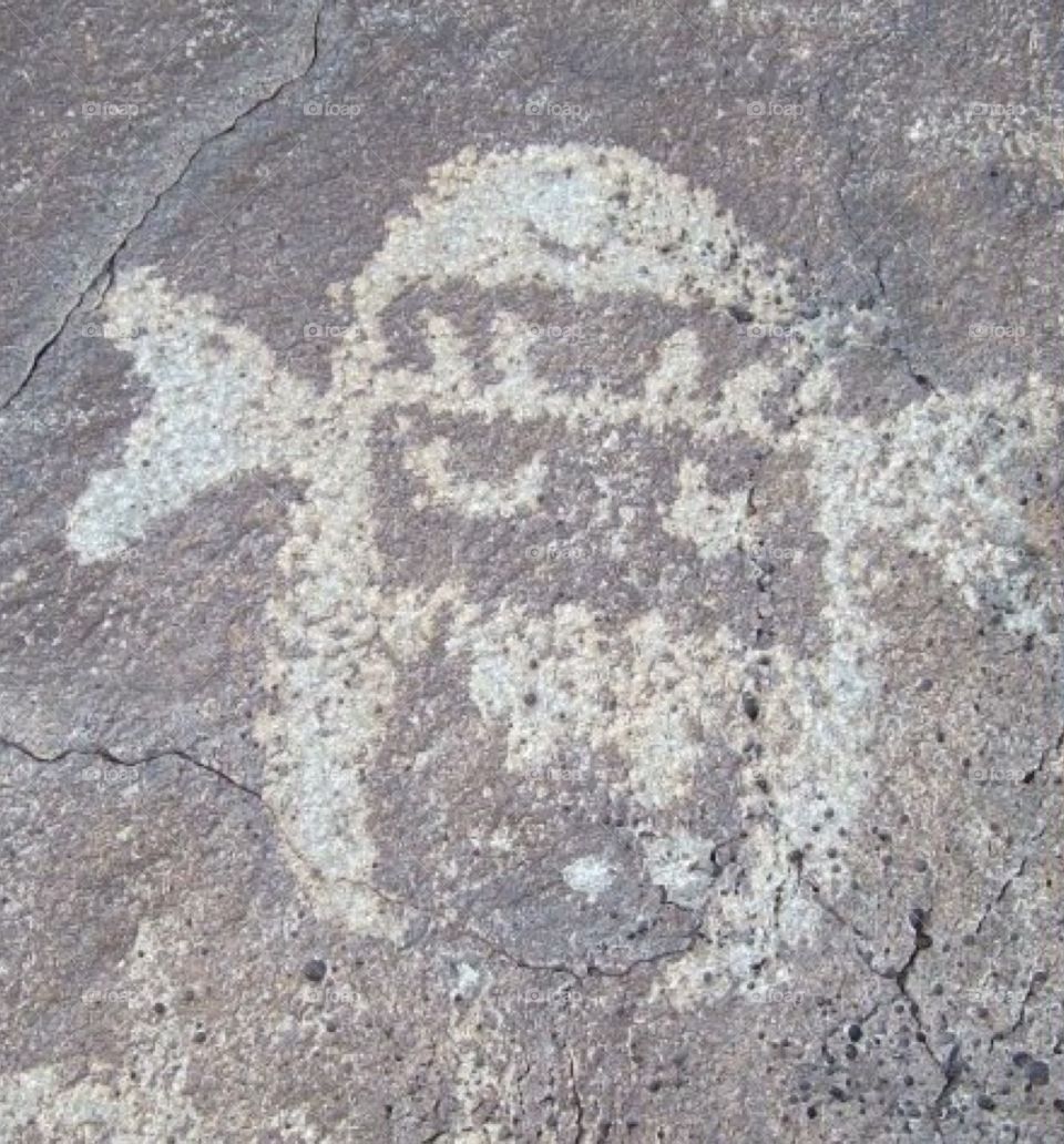 Petroglyph National Park