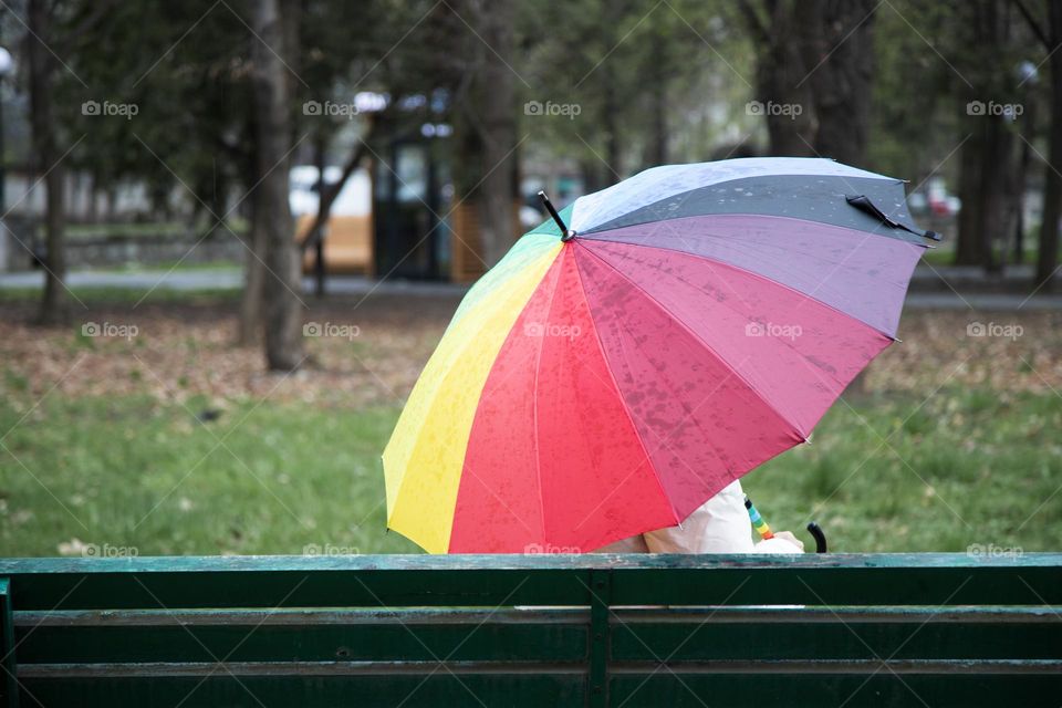 Woman with rainbow umbrella sitting on bench in autumn park . Back view .