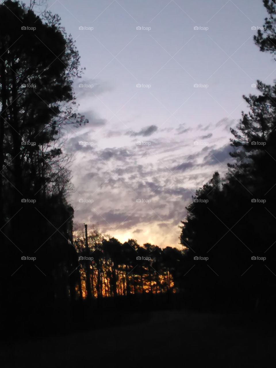 Sunset my front yard 