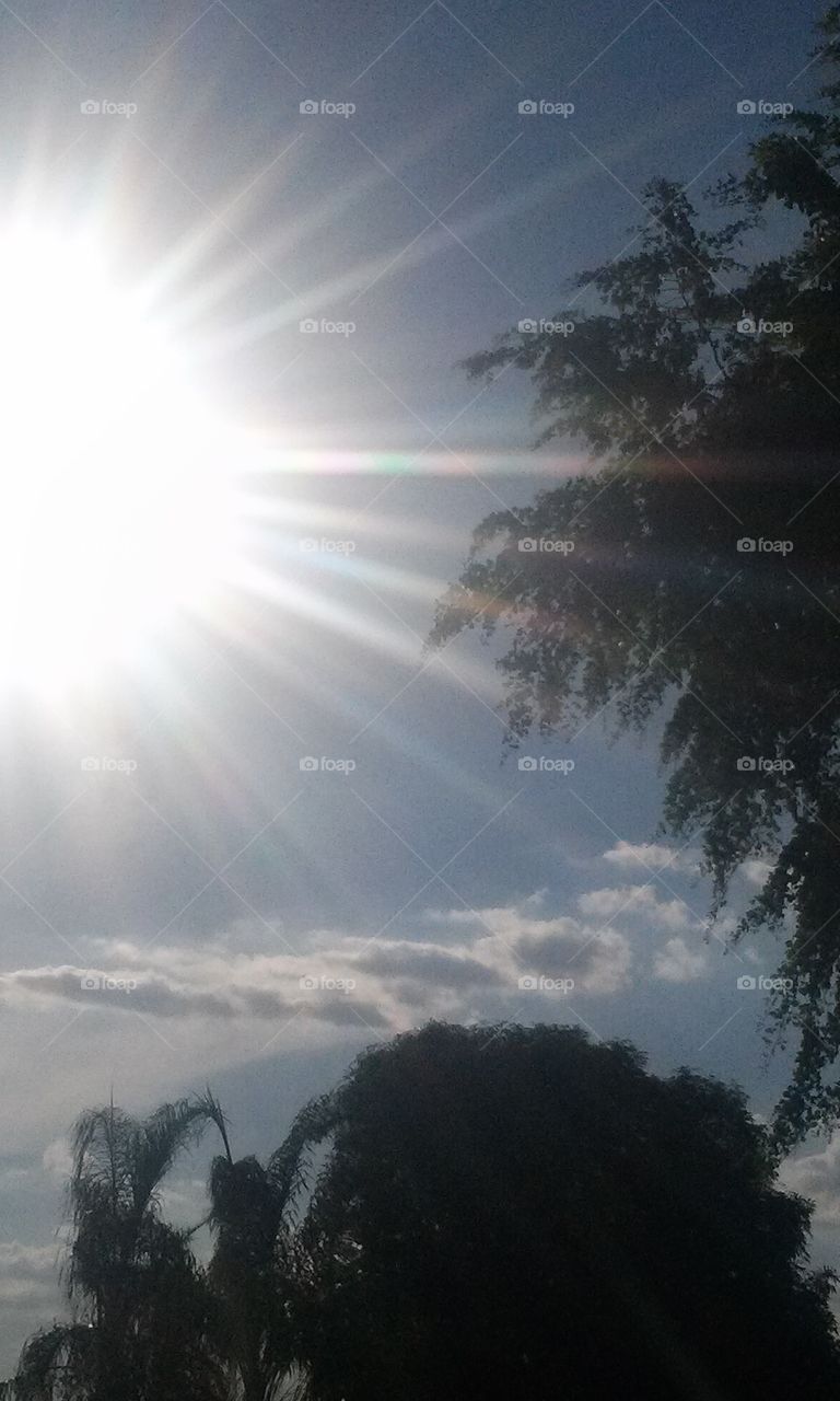 RAYS GLEAMING BRIGHTLY
Sunshine Shining Brightly
Clouds Uniquely Show
Colors of Light Pink & Yellow
Trees Compliment the Photo