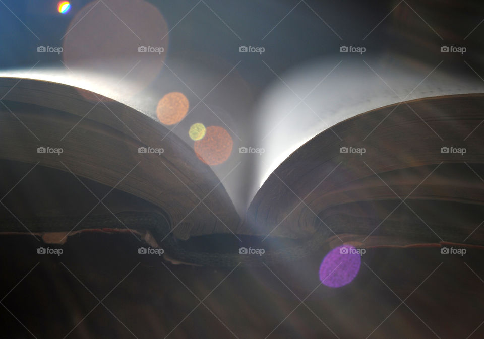 Reading a book in the afternoon sunshine 
