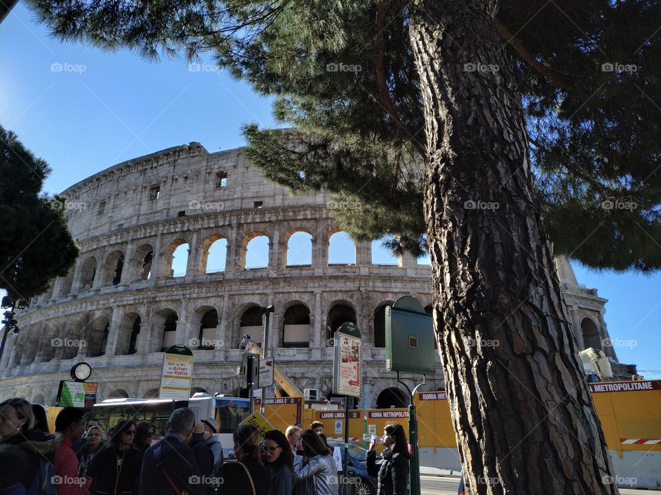 Coliseo Romano tapado por un árbol

hay gente, construcciones y un árbol delante de tal estructura, aún así, se roba todas las miradas y suspiros está creación del siglo I.