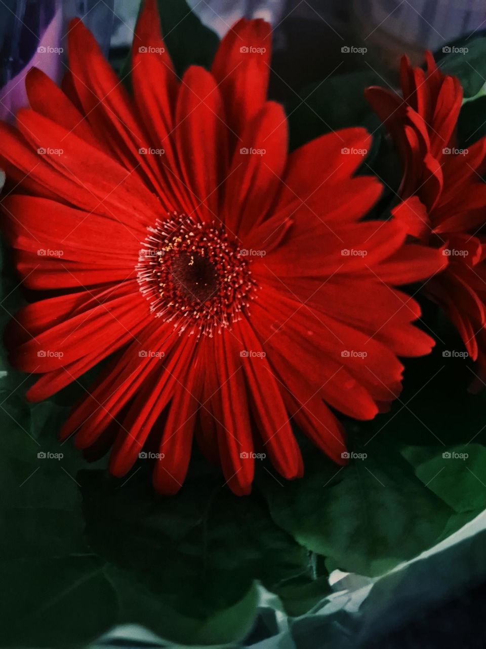 red flower