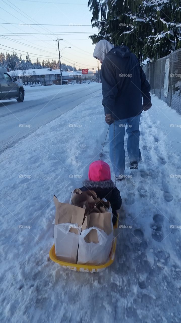 grocery run in a sled!