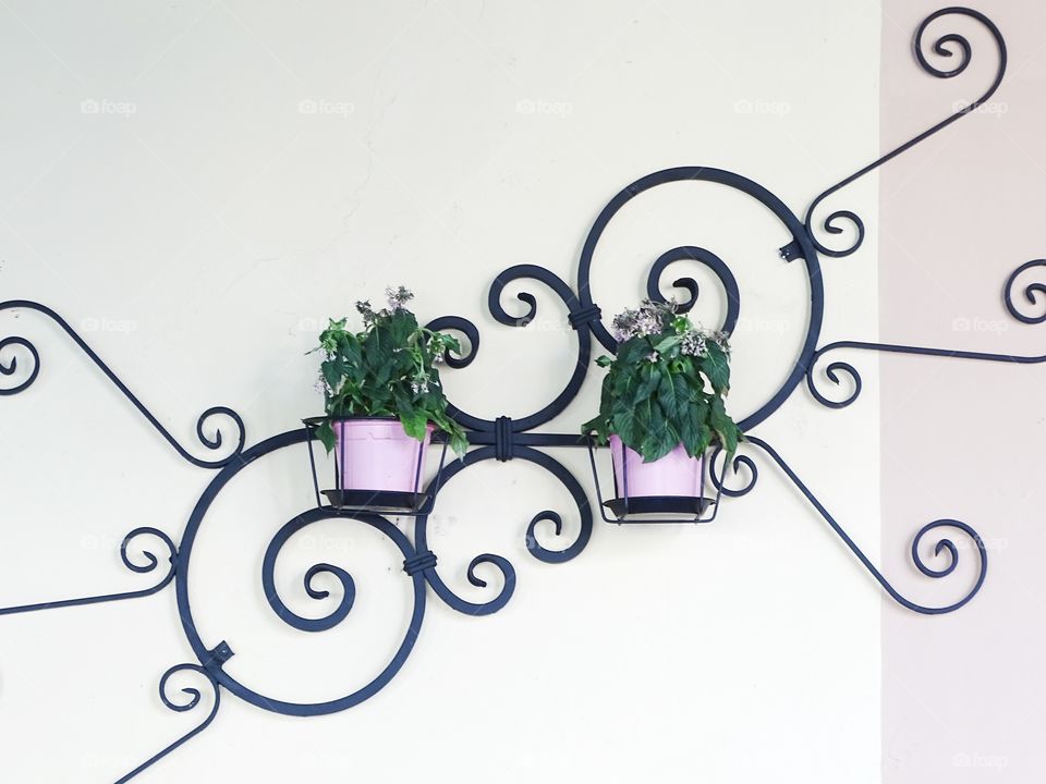 The photo looks good in pairs