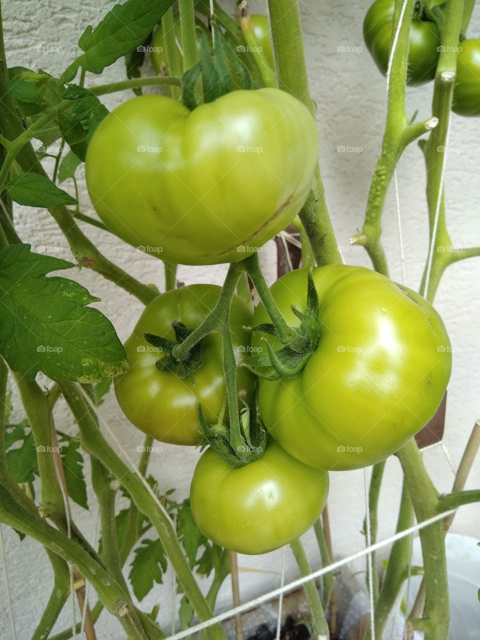 Kurpark in Bad Wildbad