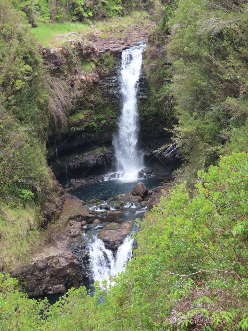 beautiful waterfall deep in rain forest