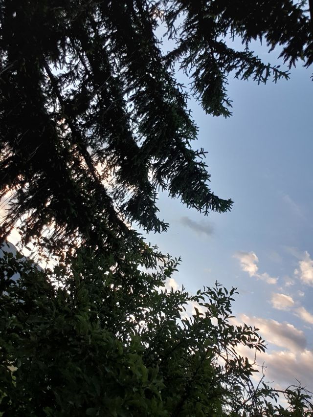 nature