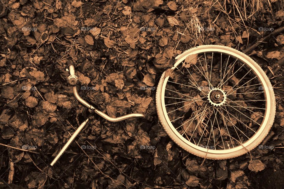 Decomposed bicycle wheel and handlebars with bell abandoned in the woods